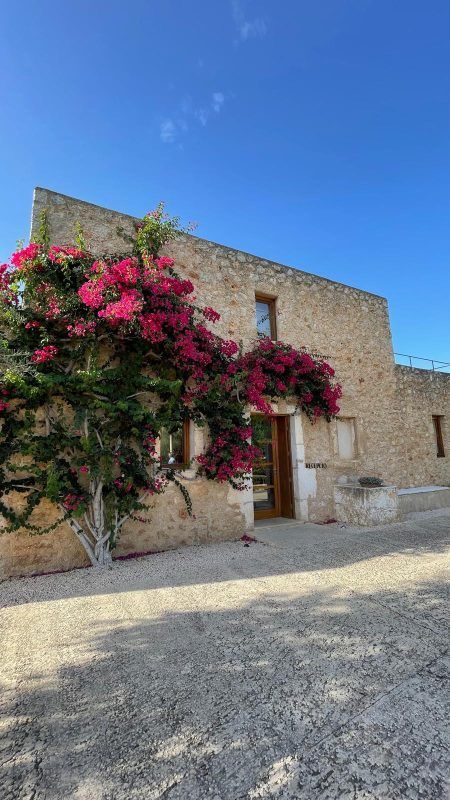 HOTEL SON PENYA (Mallorca)
