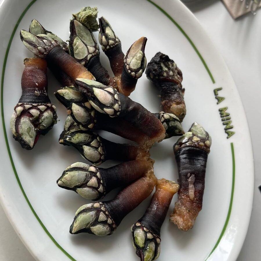 LA MINA BAR
